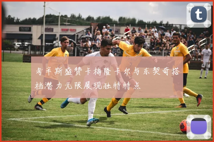 考辛斯盛赞卡梅隆卡尔与东契奇搭档潜力无限展现独特特点