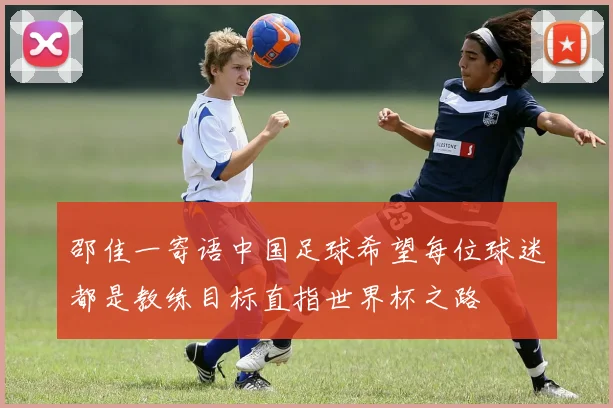 邵佳一寄语中国足球希望每位球迷都是教练目标直指世界杯之路