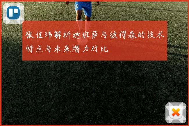 张佳玮解析迪班萨与彼得森的技术特点与未来潜力对比